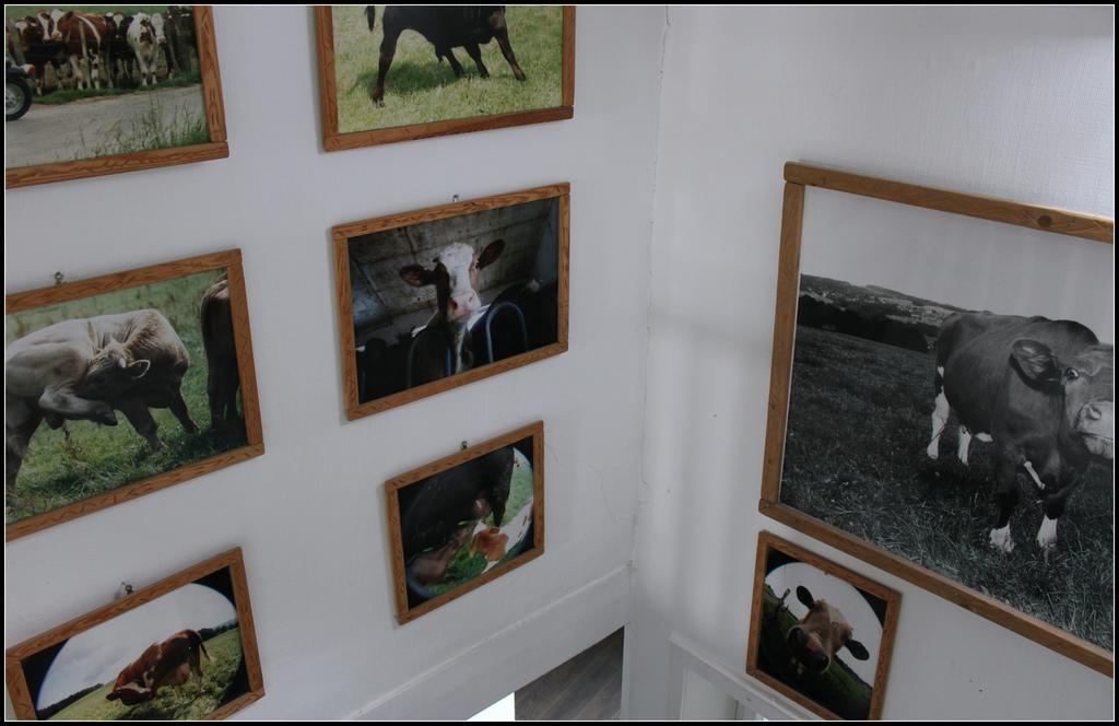 Hotel Artfarm Віль Екстер'єр фото
